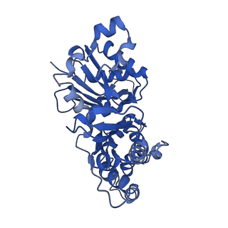11790_7ahq_B_v1-1
Cryo-EM structure of F-actin stabilized by trans-optoJASP-8