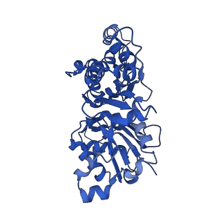 11790_7ahq_C_v1-1
Cryo-EM structure of F-actin stabilized by trans-optoJASP-8