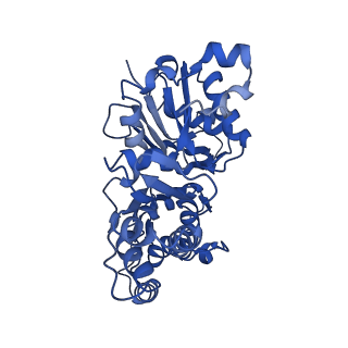 11790_7ahq_D_v1-1
Cryo-EM structure of F-actin stabilized by trans-optoJASP-8