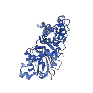 11790_7ahq_E_v1-1
Cryo-EM structure of F-actin stabilized by trans-optoJASP-8