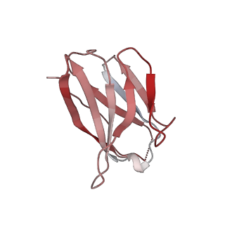 15446_8ahl_E_v1-0
Cryo-EM structure of crescentin filaments (stutter mutant, C1 symmetry and large box)