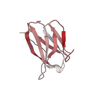 15446_8ahl_E_v1-1
Cryo-EM structure of crescentin filaments (stutter mutant, C1 symmetry and large box)