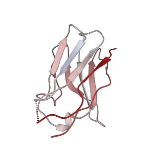 15446_8ahl_F_v1-0
Cryo-EM structure of crescentin filaments (stutter mutant, C1 symmetry and large box)