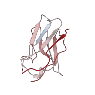 15446_8ahl_F_v1-1
Cryo-EM structure of crescentin filaments (stutter mutant, C1 symmetry and large box)