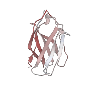 15446_8ahl_K_v1-0
Cryo-EM structure of crescentin filaments (stutter mutant, C1 symmetry and large box)