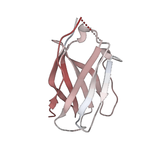 15446_8ahl_K_v1-1
Cryo-EM structure of crescentin filaments (stutter mutant, C1 symmetry and large box)