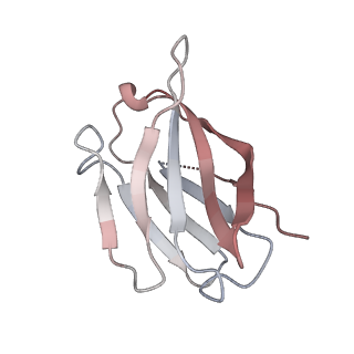 15446_8ahl_L_v1-0
Cryo-EM structure of crescentin filaments (stutter mutant, C1 symmetry and large box)