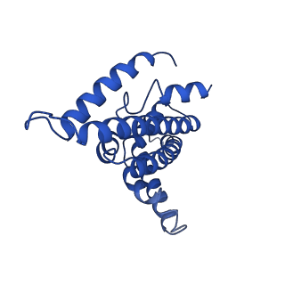 15452_8ahx_A_v1-0
Cryo-EM structure of the nitrogen-fixation associated NADH:ferredoxin oxidoreductase RNF from Azotobacter vinelandii