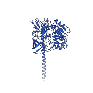 15452_8ahx_C_v1-0
Cryo-EM structure of the nitrogen-fixation associated NADH:ferredoxin oxidoreductase RNF from Azotobacter vinelandii