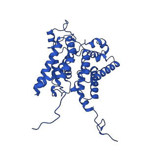 15452_8ahx_D_v1-0
Cryo-EM structure of the nitrogen-fixation associated NADH:ferredoxin oxidoreductase RNF from Azotobacter vinelandii
