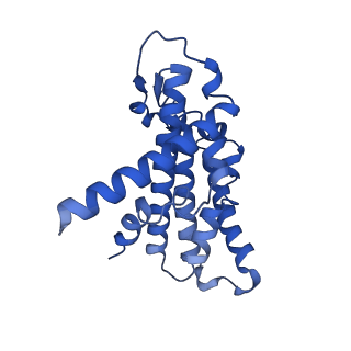 15452_8ahx_E_v1-0
Cryo-EM structure of the nitrogen-fixation associated NADH:ferredoxin oxidoreductase RNF from Azotobacter vinelandii