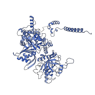 9622_6ah3_B_v1-2
Cryo-EM structure of yeast Ribonuclease P with pre-tRNA substrate