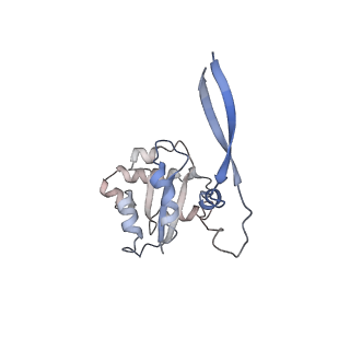 9622_6ah3_C_v1-2
Cryo-EM structure of yeast Ribonuclease P with pre-tRNA substrate