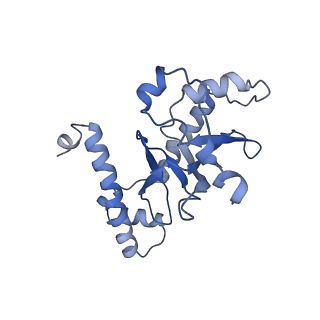 9622_6ah3_D_v1-2
Cryo-EM structure of yeast Ribonuclease P with pre-tRNA substrate