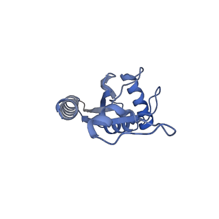 9622_6ah3_E_v1-2
Cryo-EM structure of yeast Ribonuclease P with pre-tRNA substrate