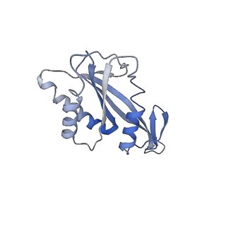 9622_6ah3_F_v1-2
Cryo-EM structure of yeast Ribonuclease P with pre-tRNA substrate