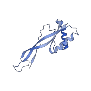 9622_6ah3_G_v1-2
Cryo-EM structure of yeast Ribonuclease P with pre-tRNA substrate