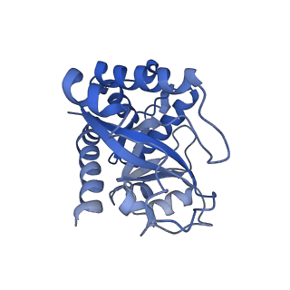 9622_6ah3_I_v1-2
Cryo-EM structure of yeast Ribonuclease P with pre-tRNA substrate