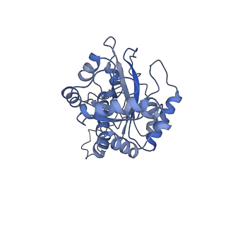 9622_6ah3_J_v1-2
Cryo-EM structure of yeast Ribonuclease P with pre-tRNA substrate