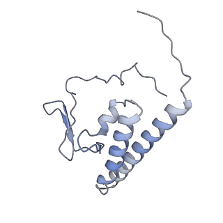 9622_6ah3_K_v1-2
Cryo-EM structure of yeast Ribonuclease P with pre-tRNA substrate