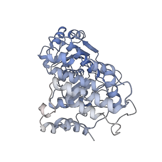 9623_6ahc_A_v1-2
Cryo-EM structure of aldehyde-alcohol dehydrogenase reveals a high-order helical architecture critical for its activity