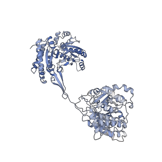 9623_6ahc_B_v1-1
Cryo-EM structure of aldehyde-alcohol dehydrogenase reveals a high-order helical architecture critical for its activity