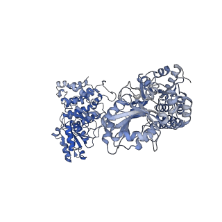 9623_6ahc_C_v1-1
Cryo-EM structure of aldehyde-alcohol dehydrogenase reveals a high-order helical architecture critical for its activity
