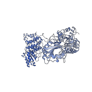 9623_6ahc_C_v1-2
Cryo-EM structure of aldehyde-alcohol dehydrogenase reveals a high-order helical architecture critical for its activity