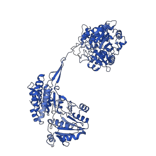 9623_6ahc_D_v1-1
Cryo-EM structure of aldehyde-alcohol dehydrogenase reveals a high-order helical architecture critical for its activity
