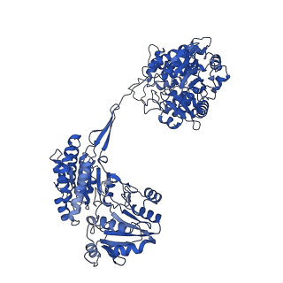 9623_6ahc_D_v1-2
Cryo-EM structure of aldehyde-alcohol dehydrogenase reveals a high-order helical architecture critical for its activity