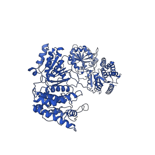 9623_6ahc_E_v1-1
Cryo-EM structure of aldehyde-alcohol dehydrogenase reveals a high-order helical architecture critical for its activity