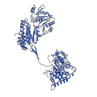 9623_6ahc_F_v1-1
Cryo-EM structure of aldehyde-alcohol dehydrogenase reveals a high-order helical architecture critical for its activity