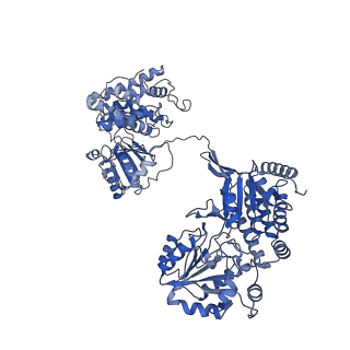 9623_6ahc_G_v1-1
Cryo-EM structure of aldehyde-alcohol dehydrogenase reveals a high-order helical architecture critical for its activity