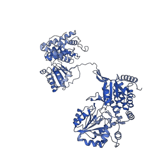 9623_6ahc_G_v1-2
Cryo-EM structure of aldehyde-alcohol dehydrogenase reveals a high-order helical architecture critical for its activity