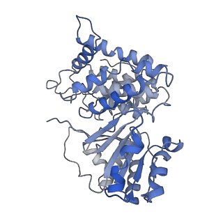 9623_6ahc_H_v1-1
Cryo-EM structure of aldehyde-alcohol dehydrogenase reveals a high-order helical architecture critical for its activity