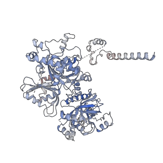 9626_6ahr_B_v1-1
Cryo-EM structure of human Ribonuclease P