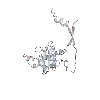 9626_6ahr_C_v1-1
Cryo-EM structure of human Ribonuclease P