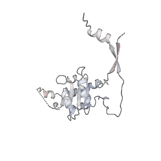 9626_6ahr_C_v1-2
Cryo-EM structure of human Ribonuclease P