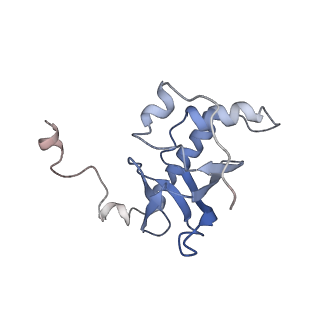 9626_6ahr_D_v1-1
Cryo-EM structure of human Ribonuclease P