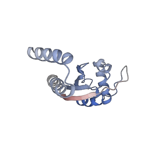 9626_6ahr_E_v1-1
Cryo-EM structure of human Ribonuclease P