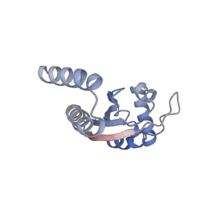 9626_6ahr_E_v1-2
Cryo-EM structure of human Ribonuclease P