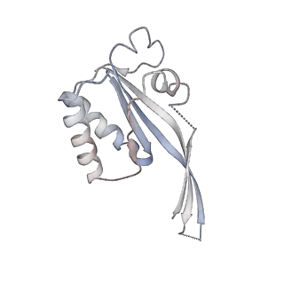 9626_6ahr_F_v1-1
Cryo-EM structure of human Ribonuclease P