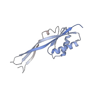 9626_6ahr_G_v1-1
Cryo-EM structure of human Ribonuclease P