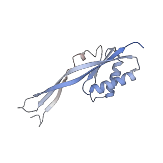 9626_6ahr_G_v1-2
Cryo-EM structure of human Ribonuclease P