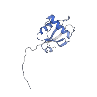 9626_6ahr_H_v1-1
Cryo-EM structure of human Ribonuclease P