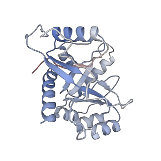 9626_6ahr_I_v1-1
Cryo-EM structure of human Ribonuclease P