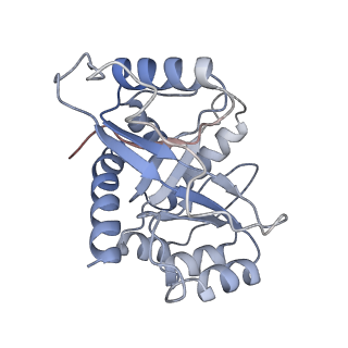 9626_6ahr_I_v1-2
Cryo-EM structure of human Ribonuclease P