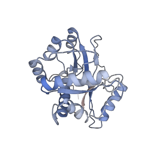 9626_6ahr_J_v1-1
Cryo-EM structure of human Ribonuclease P