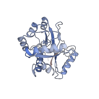 9626_6ahr_J_v1-2
Cryo-EM structure of human Ribonuclease P