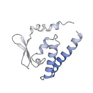9626_6ahr_K_v1-1
Cryo-EM structure of human Ribonuclease P